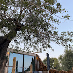 Photo n°5 de l'avis de Noémie.a fait le 13/08/2021 à 10:47 sur le  Conversas de Alpendre à Vila Real de Santo António