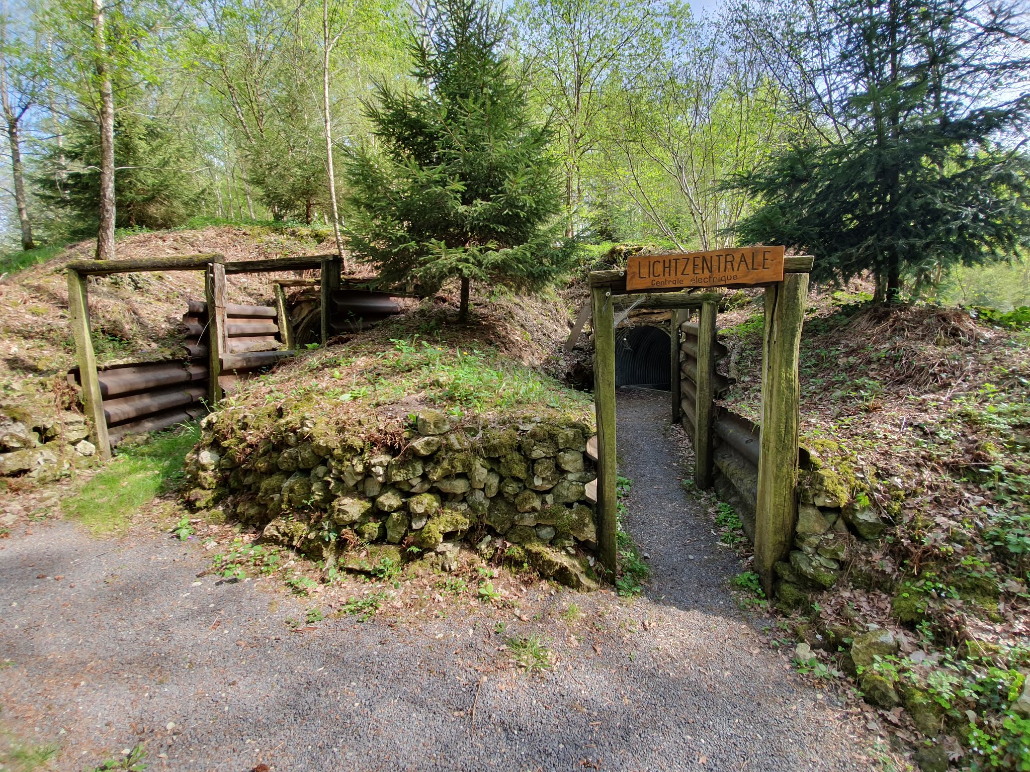 Photo n° 34 de l'avis de Nachtalb. fait le 23/04/2019 à 12:32