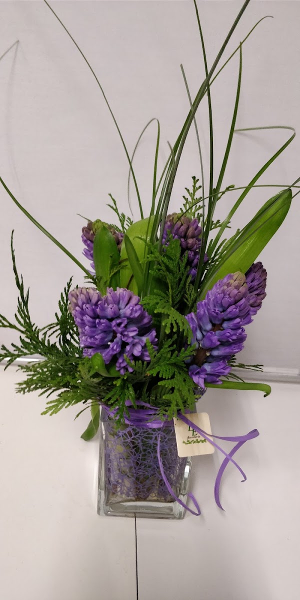Imagen de Floristería LE (16 de 26)