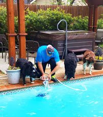 The Pool Lady - Photo 5 - Car repair in Fort Worth, TX, Fort Worth
