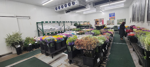 Florist «Sequoia Floral International», reviews and photos, 3245 Santa Rosa Ave, Santa Rosa, CA 95407, USA