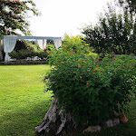 Photo n°3 de l'avis de Pina.o fait le 27/06/2022 à 21:03 sur le  Villa degli Aranci à Polignano a Mare