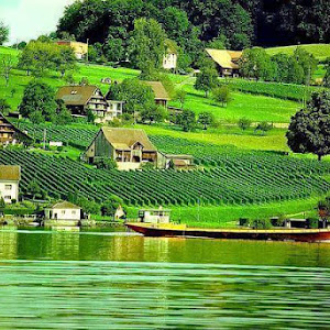 Dasuya Forest Division photo