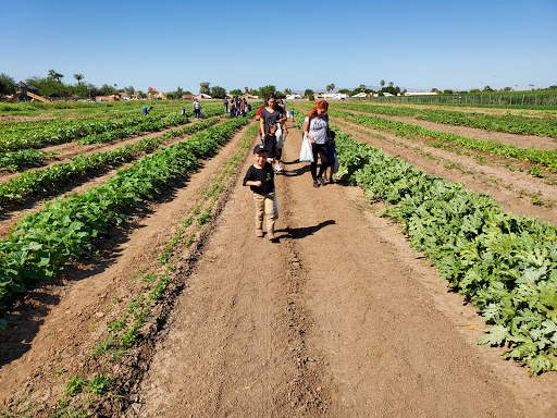 Truck farmer Peoria