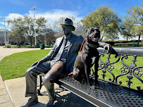 Off Leash K9 Alabama Coast - Photo 3 - Car repair in , Pensacola