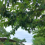 Photo n°12 de l'avis de hans-erich.o fait le 16/08/2022 à 19:34 sur le  Hotel Seeterrassen | Das Lounge-Hotel am Wandlitzsee à Wandlitz