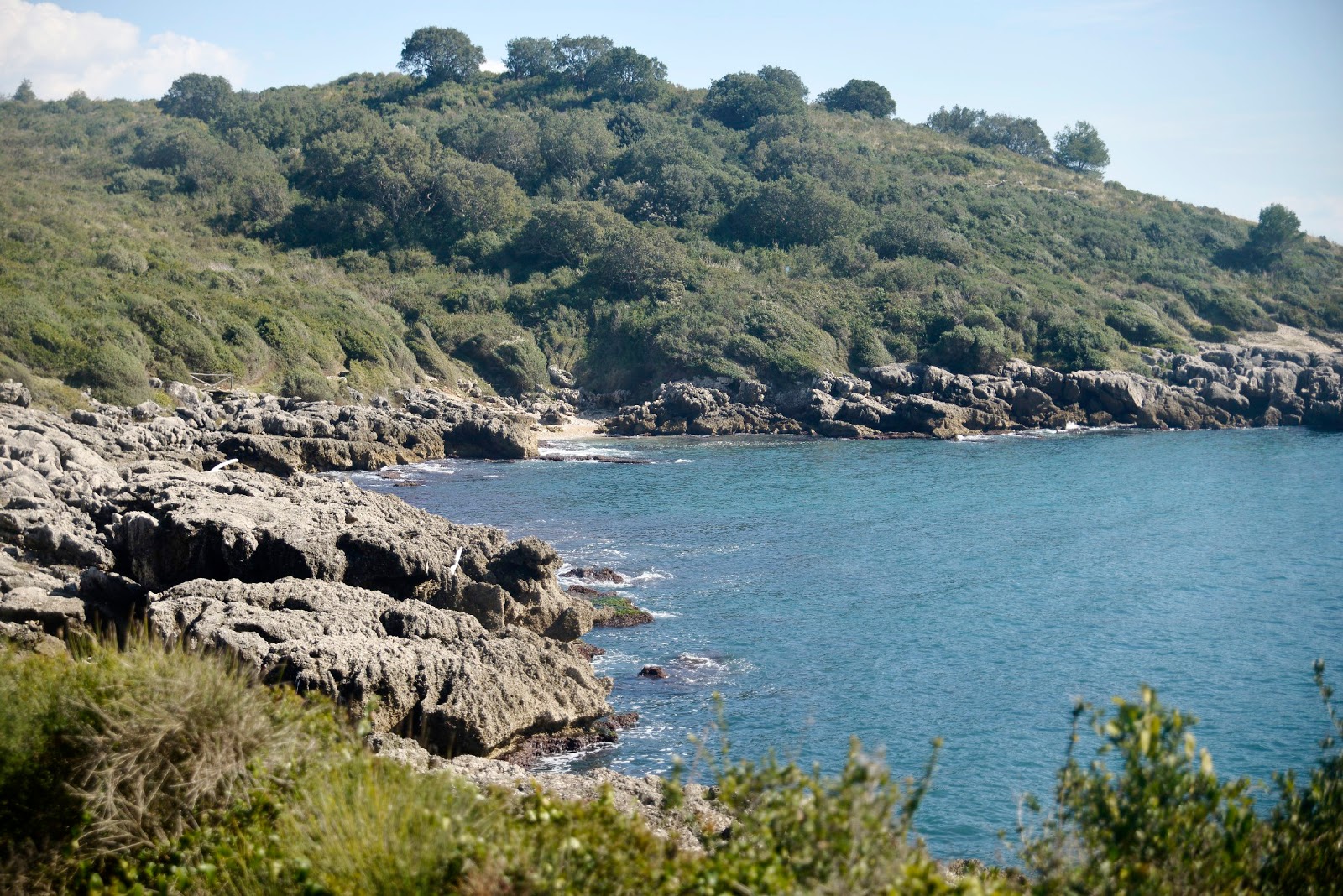Foto av Spiaggia di Porto Cofaniello med lätt sten yta