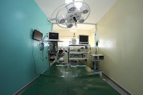 VetOeiras Hospital Veterinário