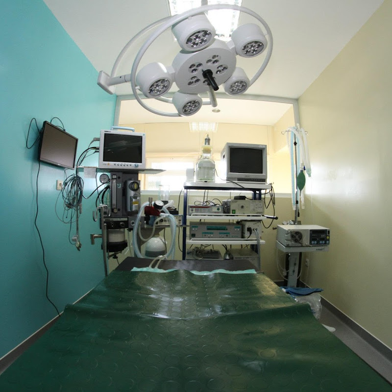 VetOeiras Veterinary Hospital