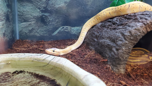 Pet Supply Store «Petco Animal Supplies», reviews and photos, 2911 W Main St, Bozeman, MT 59718, USA