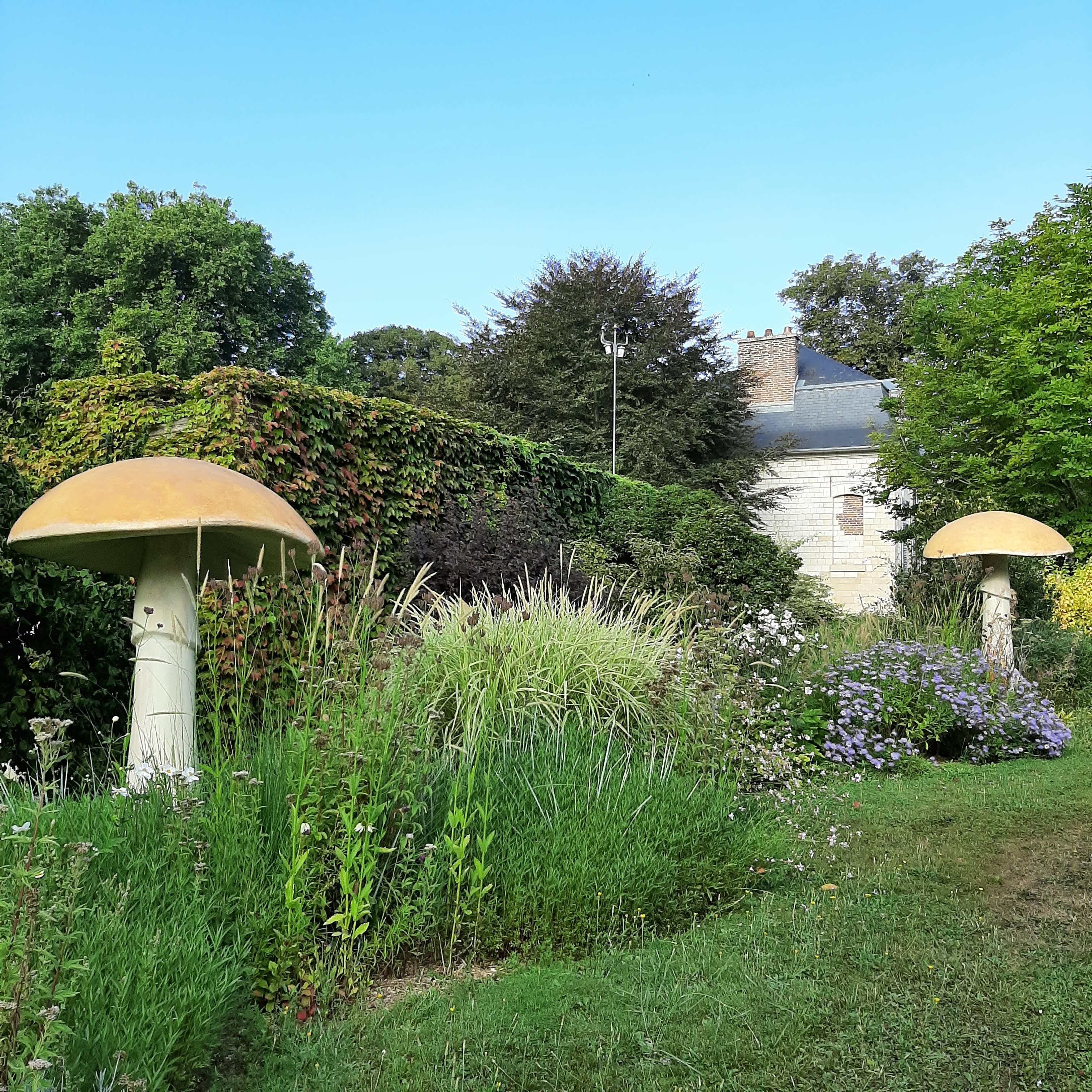 Photo n° 4 de l'avis de Peter.a fait le 10/09/2022 à 15:48