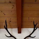 Photo n°1 de l'avis de Lorenzo.o fait le 12/03/2023 à 16:47 sur le  Ristorante Tipico Al Cervo à Rabbi