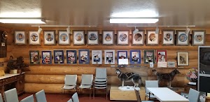 The Iditarod - photo 90