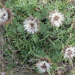 Photo n°3 de l'avis de Sabrina.o fait le 04/09/2021 à 10:53 sur le  Passocento à Varese Ligure