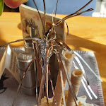 Photo n°10 de l'avis de Manu.a fait le 03/03/2022 à 16:39 sur le  Berggasthof Menauer à Schwarzach