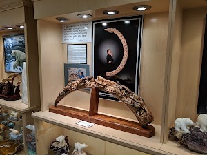 Alaska Fine Art - photo 27
