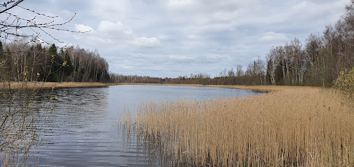 Vasula järv