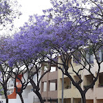 Photo n°2 de l'avis de Lisa.r fait le 26/01/2022 à 21:19 sur le  O Pirilampo à Lagos