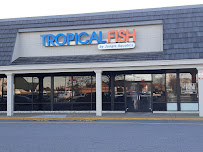 Jungle Aquatics - Photo 2 - Car repair in Virginia Beach, VA, Virginia Beach