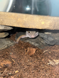 Fish & More Pet Store - Photo 8 - Car repair in Van Buren, AR, Fort Smith