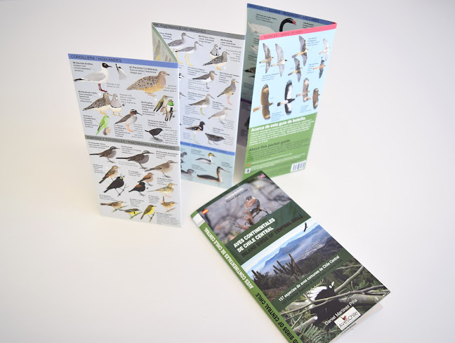 Opinii despre Imprenta Edición. Hernán Cisternas y Cia. Ltda. în La Cisterna - Diseñador gráfico