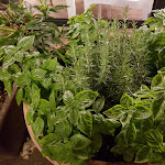 Photo n°4 de l'avis de Salvatore.i fait le 11/07/2020 à 23:11 sur le  Osteria del Principe - La Cantinaccia à Syracuse