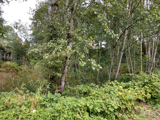 Park «Mill Creek Canyon Earthworks Park», reviews and photos, 100 Reiten Rd, Kent, WA 98030, USA
