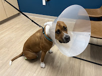 Truss Vet - Veterinary Urgent Care - Photo 6 - Car repair in Cary, NC, Raleigh