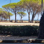 Photo n°1 de l'avis de Gianni.i fait le 21/08/2021 à 11:34 sur le  Ristorante Bar La Nuova Torre à Posada