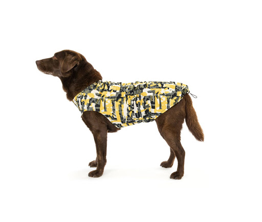 Gobak - Tienda online canina - Vitoria-Gasteiz