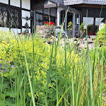 Photo n°5 de l'avis de T..i fait le 28/06/2023 à 07:53 sur le  Romantik Hotel Stryckhaus à Willingen