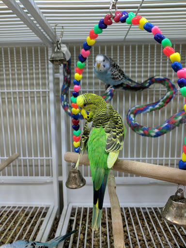 Pet Supply Store «Pet Supplies Plus», reviews and photos, 2927 Riley Fuzzel Rd #400, Spring, TX 77386, USA