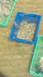 Photo n°23 de Le Délit à L'Épine ()