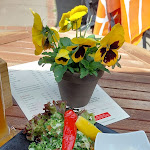 Photo n°2 de l'avis de Katja.. fait le 01/05/2024 à 10:33 sur le  Wanlik-Hues à Sankt Peter-Ording