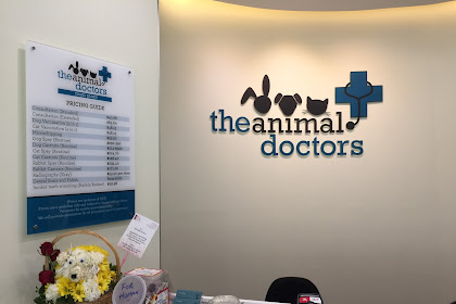 the animal doctors tiong bahru review
