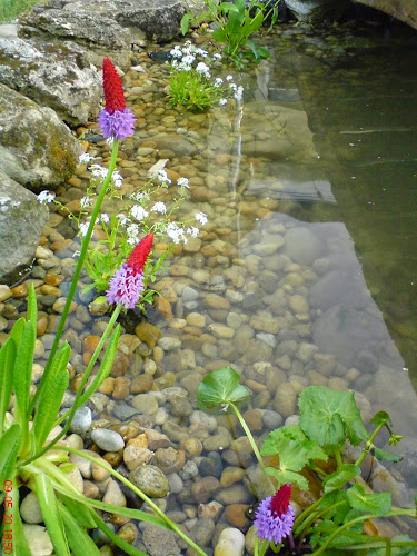 Kertépítés, kertfenntartás, öntözőrendszer, füvesítés, gyepszőnyeg telepítő kertészmérnök. - Kertészkedő