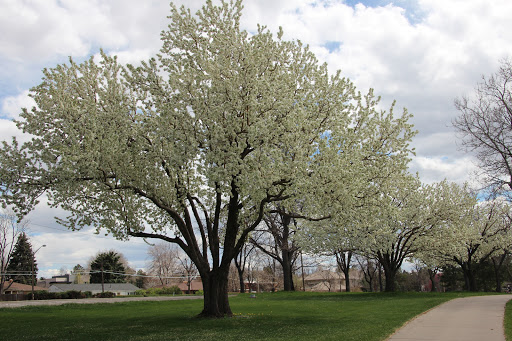 Public Golf Course «Wellshire Golf Course», reviews and photos, 3333 S Colorado Blvd, Denver, CO 80222, USA