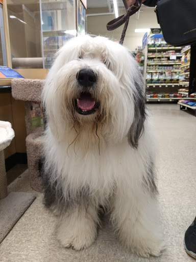 Shopping Mall «Seaview Square Shopping Center», reviews and photos, 1000 NJ-66, Ocean Township, NJ 07712, USA