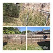 Lawn In Order - Car repair in , Harlingen - Rated 0.0/5