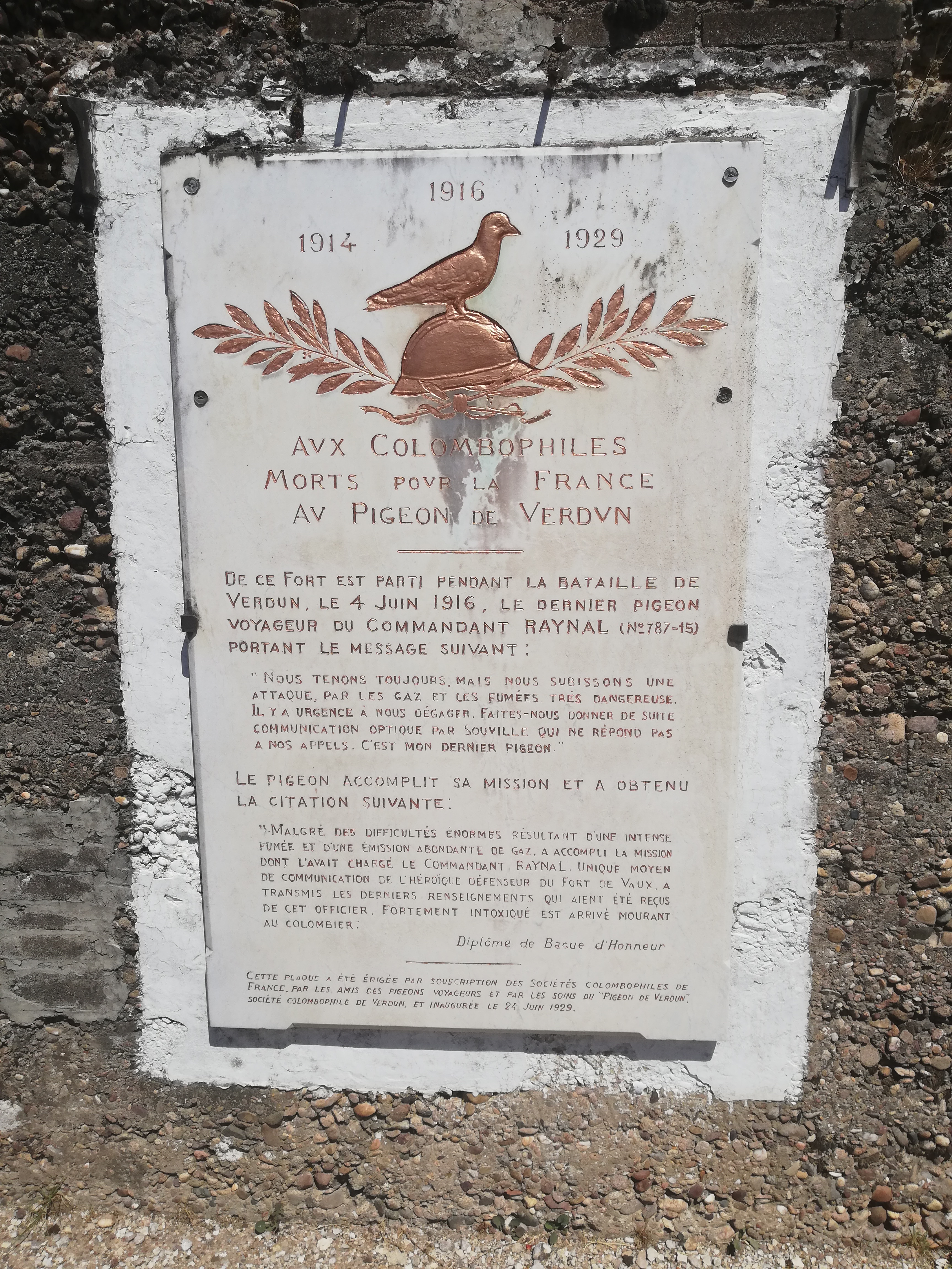Photo n° 1 de l'avis de alpha.0 fait le 13/08/2022 à 08:46