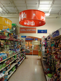 PetSmart - Photo 7 - Car repair in Tyler, TX, Tyler