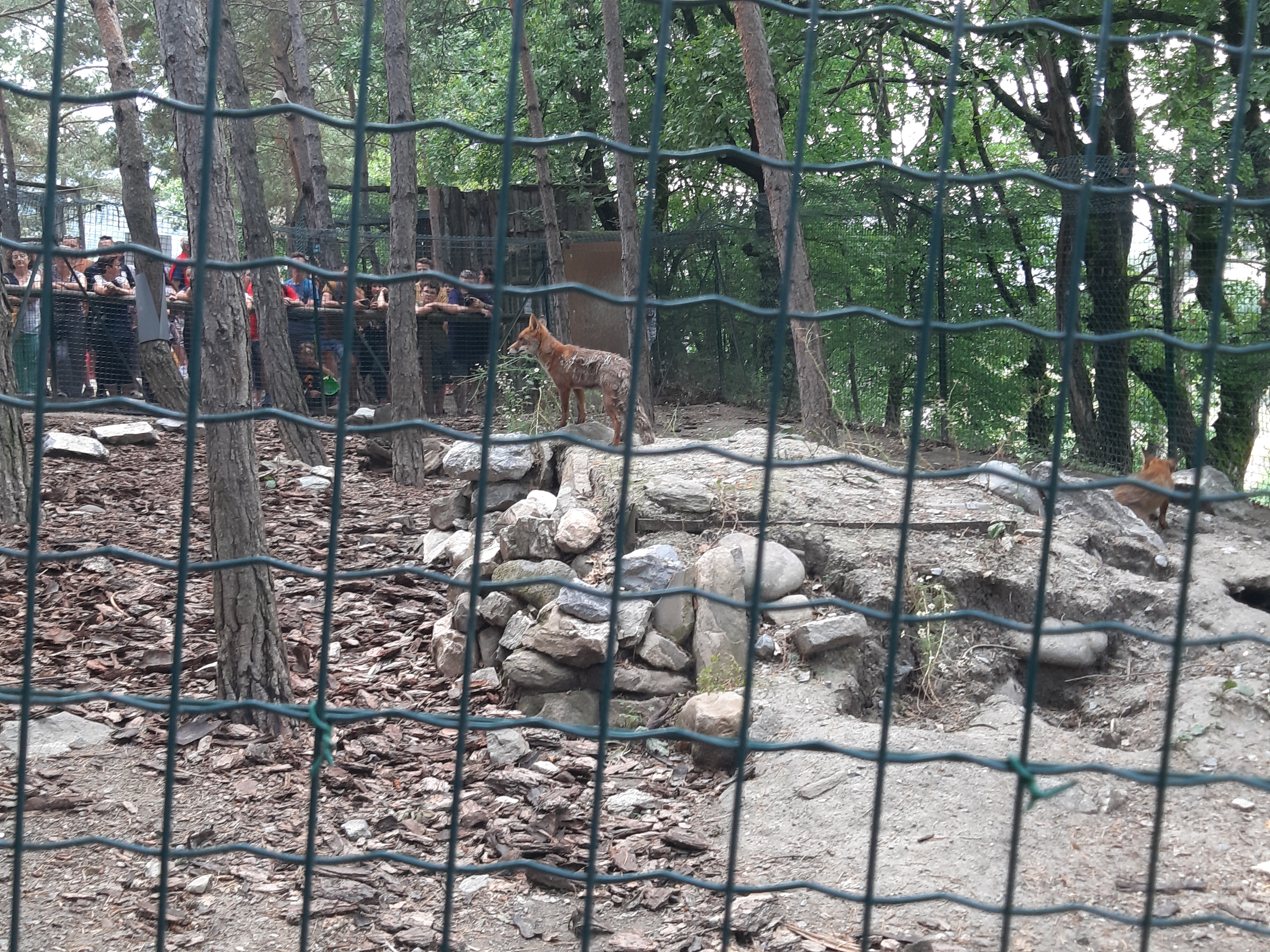 Photo n° 1 de l'avis de Domy. fait le 22/08/2019 à 22:17