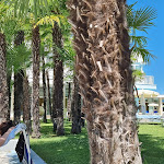 Photo n°3 de l'avis de Gabriel.a fait le 03/07/2023 à 04:43 sur le  Hotel Terme Metropole à Abano Terme