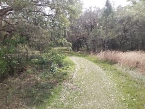 Marshall Hampton Reserve - photo 69
