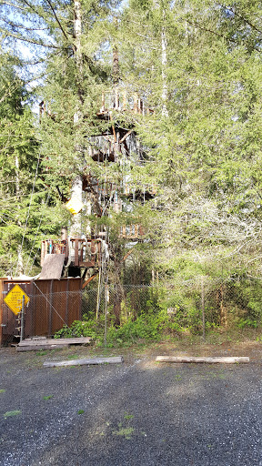 Tourist Attraction «ZiplineX Zip Line Tours», reviews and photos, 32016 NE Healy Rd, Amboy, WA 98601, USA