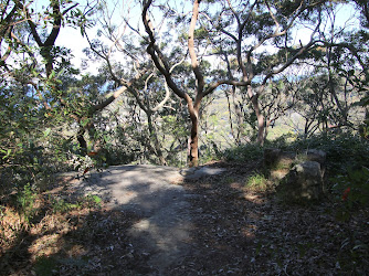 Stapleton Reserve