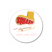 Squash Exterminating - Photo 6 - Car repair in Brooklyn, NY, New York