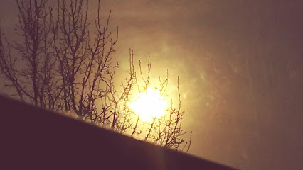 Baci Productions DJ’S