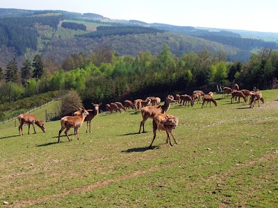 Photos of Auberge de la Ferme sa