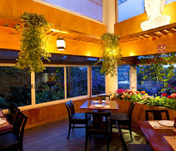 comida china lis-buffet photo